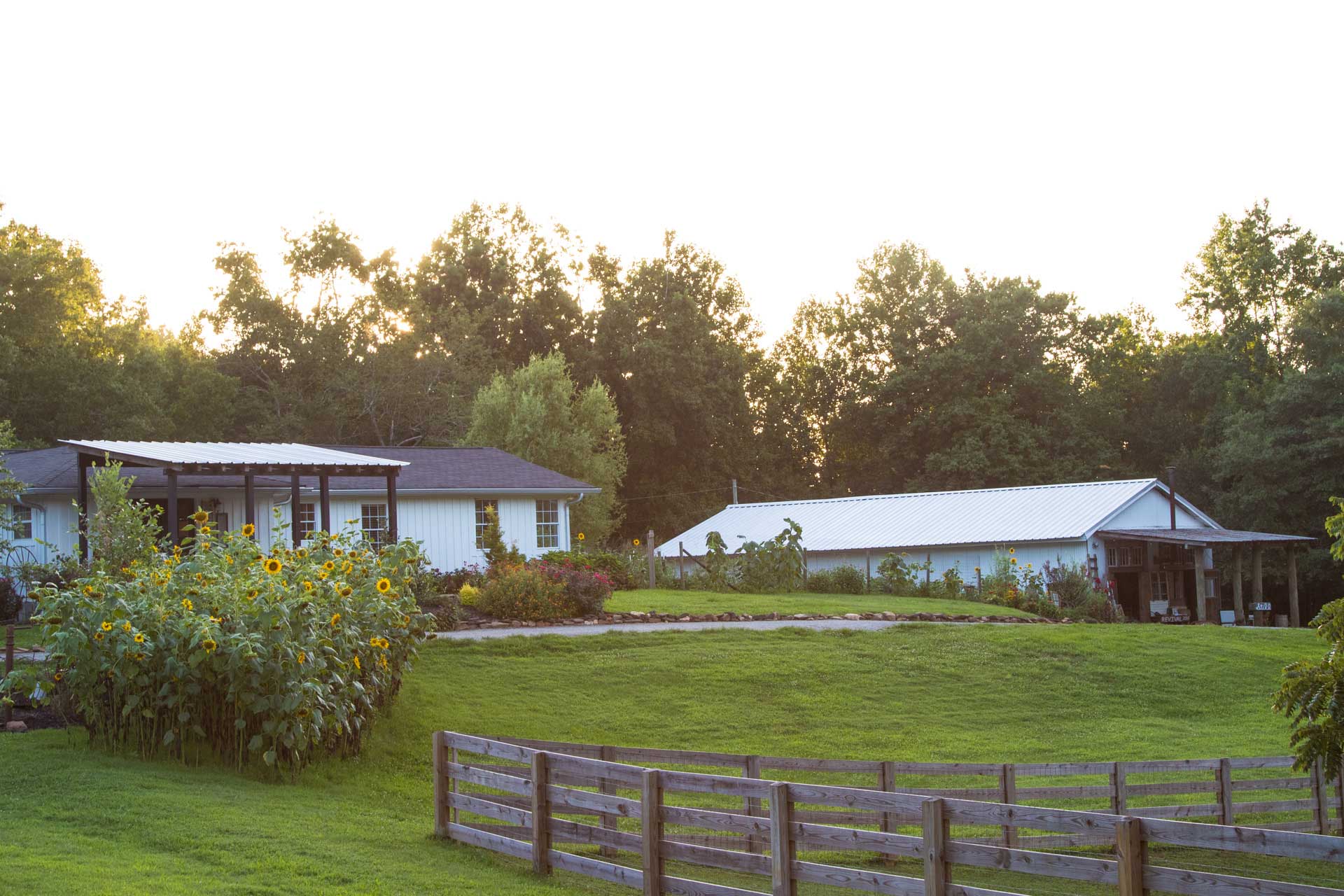 Revival 356 barn and paddock